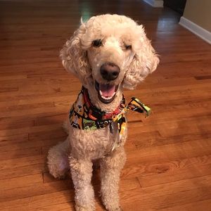 Meet your Posher, Michele